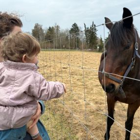 Delaney, Familie i Birkerød