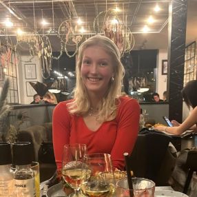 Rosa, Babysitter in Aalborg