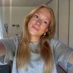 Ann Sofie, Babysitter in Vejen
