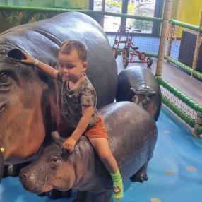 Alexander, Familie i Karup