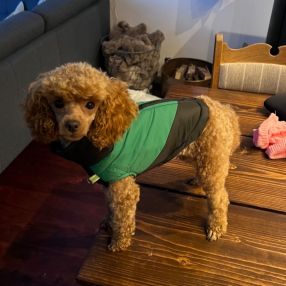 Mathias, Family in Aarhus