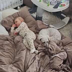 Patrick og Signe, Familie i Rønne