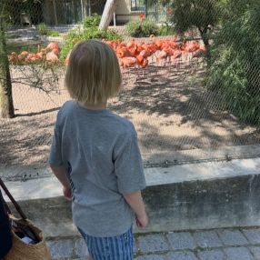 Mette, Family in Frederiksberg