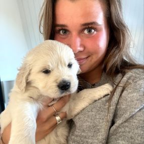 Klara, Babysitter in Gentofte