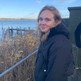 Dikte, Babysitter in Odense