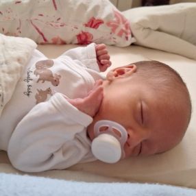 Pedram, Familie i Aarhus