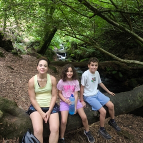 Orreaga, Family in Zizur Mayor