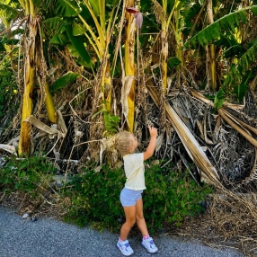 Julie, Familia en Cubas de la Sagra