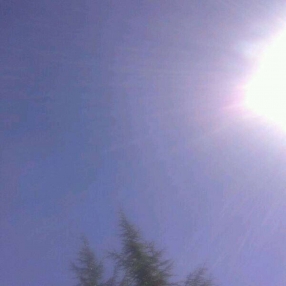 Olga, Family in Ordes