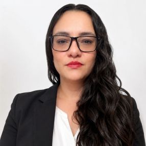 LAURA DANIELA, Niñera o canguro en Vitoria-Gasteiz