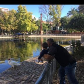 Martín, Familia en Elche