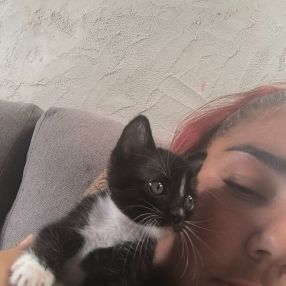 Samara, Babysitter in Icod de los Vinos