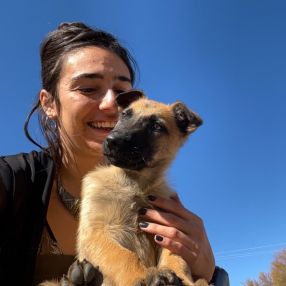 Ali, Babysitter in Huércal-Overa