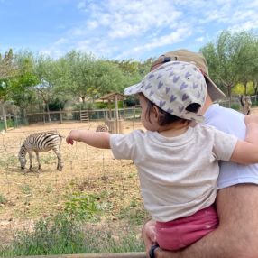 Bego, Familia en Zaragoza