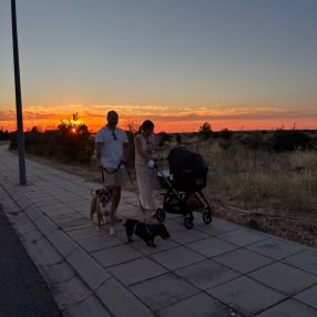 Blanca, Familia en Palazuelos de Eresma