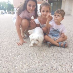 Davinia, Familia en Torrelaguna
