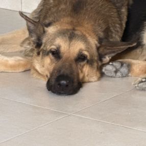 Maria, Familia en Cocentaina