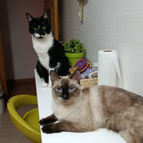 Alba, Familia en Murcia