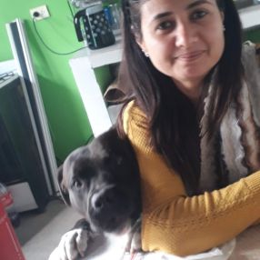 Norma, Niñera o canguro en Segovia
