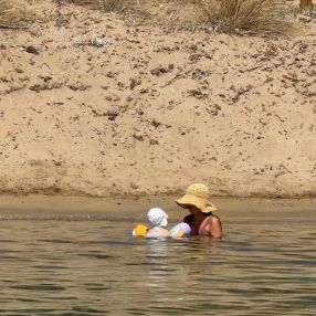 V, Family in Illes Balears