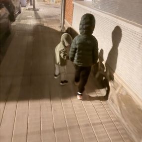 David, Familia en San Martín del Rey Aurelio
