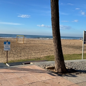 Begoña, Familia en Comunidad Valenciana