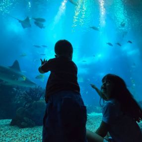 Judith, Familia en Griñón
