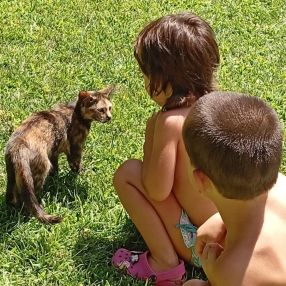 Domingo, Familia en La Solana