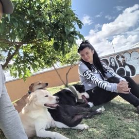 Dennis, Niñera o canguro en Tielmes
