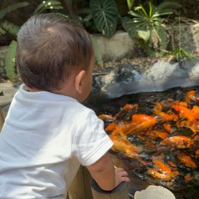 Daniela, Family in Cornellà de Llobregat
