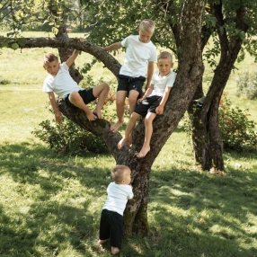 Nina, Family in Hamina