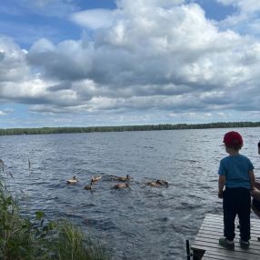 Jenni, Perhe kaupungissa Seinäjoki