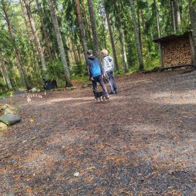Saana, Perhe kaupungissa Rauma