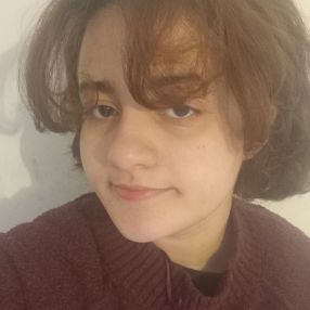 Soheila, Babysitter à Rosny-sous-Bois