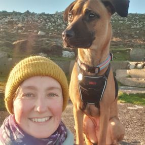 Holly, Babysitter in Swansea