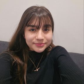 Lais, Babysitter in Dublin