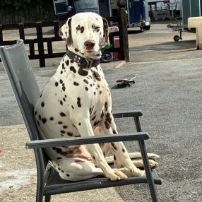 Audrey, Family in Kildare