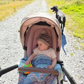 Diana, Family in Leixlip