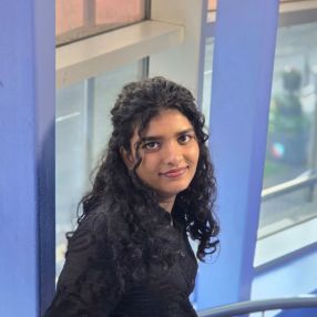 Meenakshi, Babysitter in Bray
