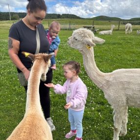 Jessica, Babysitter in Kells