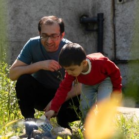 Syed Mehdi, Family in Wicklow
