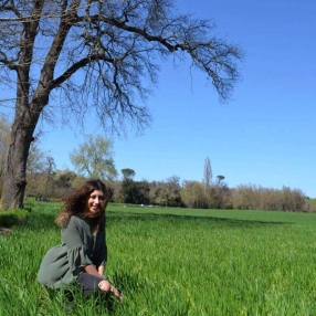 giulia, Babysitter in Castelfidardo