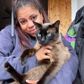 Evelin, Babysitter in Vigasio