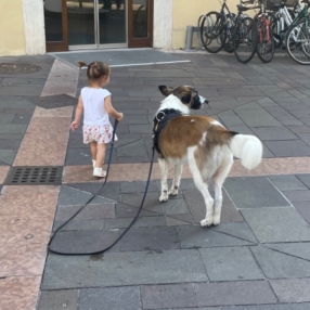 Palma, Famiglia a Trento