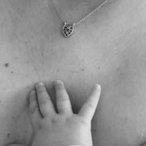 Diana, Famiglia a Varese
