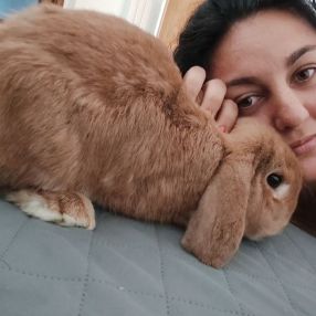 Luci, Babysitter a Albignasego