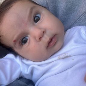 Alice, Famiglia a Lerici