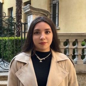Pantea, Babysitter in Sesto San Giovanni