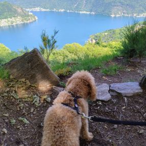 Jessica, Family in Provincia di Varese