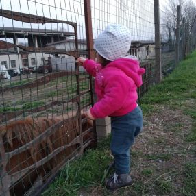 LUCA, Family in Soncino